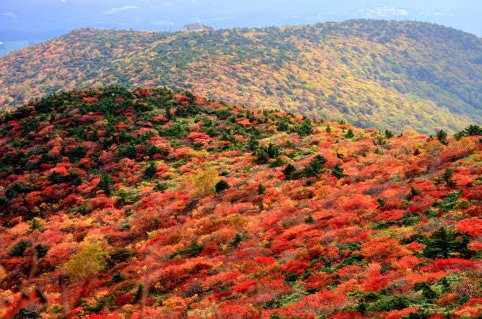 安達太良山の紅葉