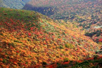 安達太良山の紅葉