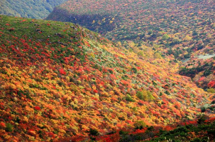 安達太良山の紅葉