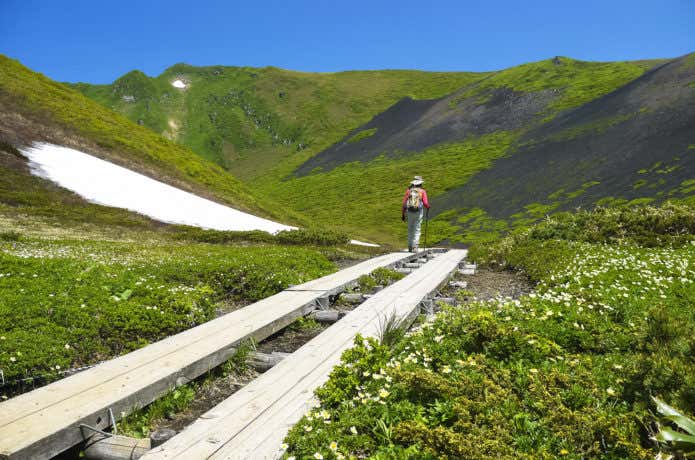 秋田駒ヶ岳の登山道を行く女性