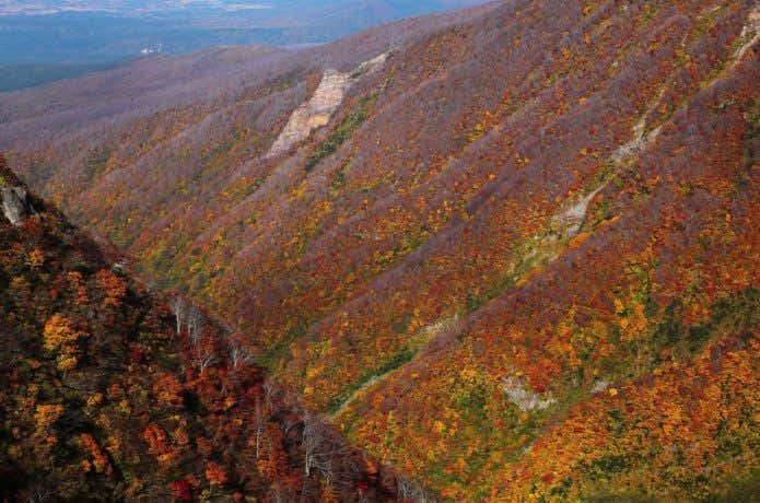 鳥海山の紅葉