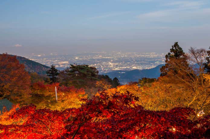 阿夫利神社からの紅葉と夜景
