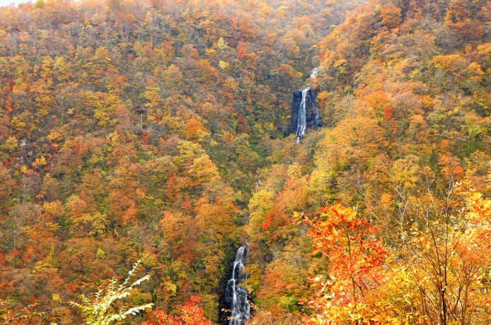 三階の滝の紅葉