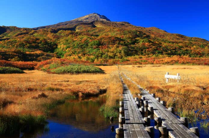 紅葉の鳥海山（竜が原湿原）