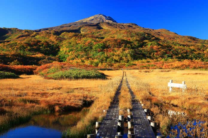 竜が原湿原
