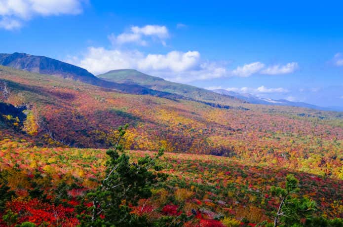 安達太良山の紅葉