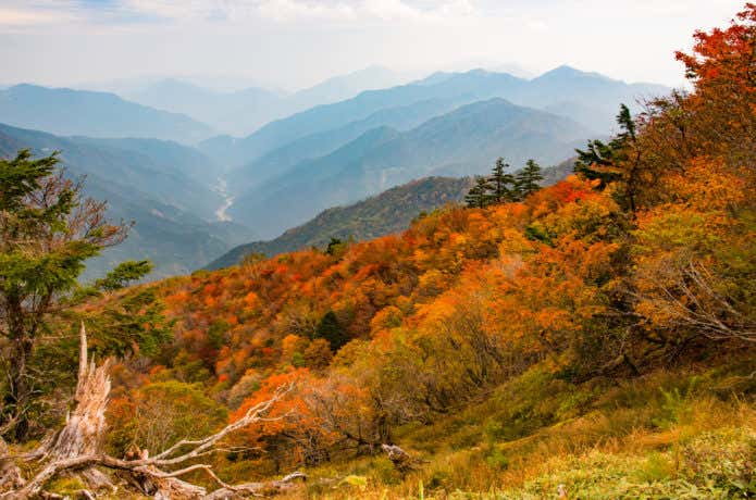 剣山の紅葉