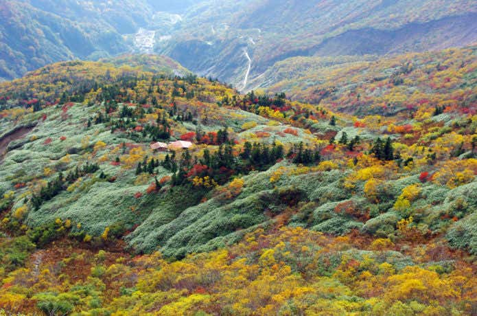 紅葉の甚之助避難小屋