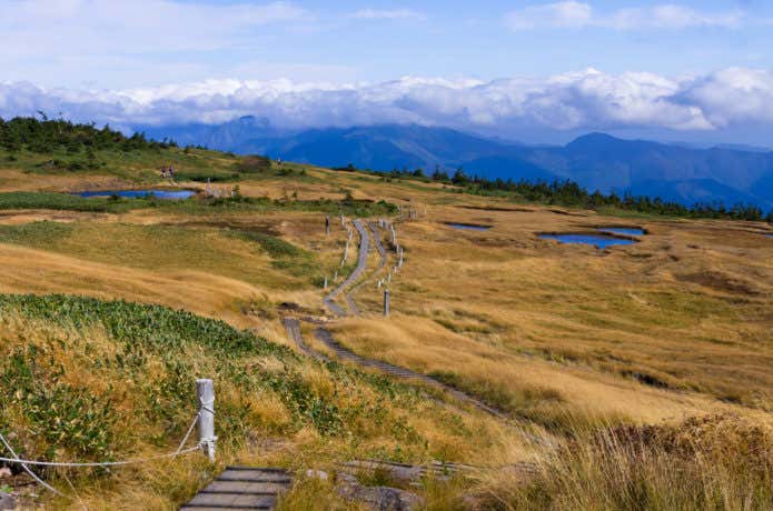 苗場山山頂の草紅葉
