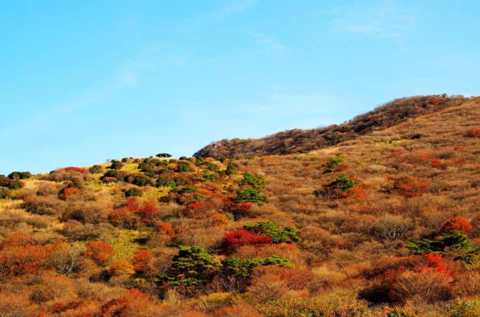 紅葉の九重山