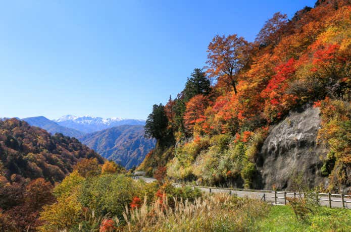 白山ホワイトロードの紅葉