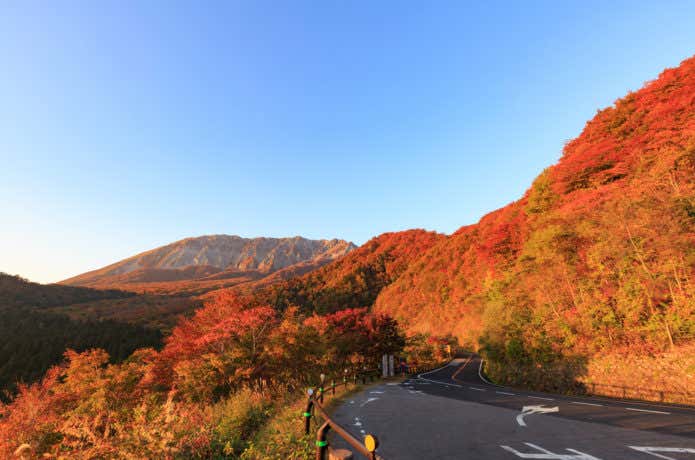 鍵掛峠からのドライブで見る紅葉