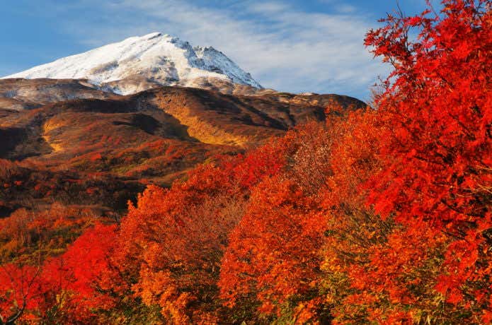 雪をかぶった鳥海山と麓の紅葉