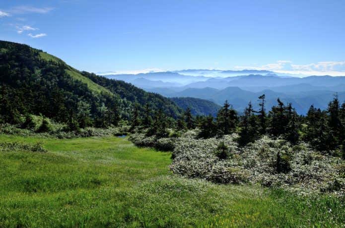 夏の会津駒ケ岳