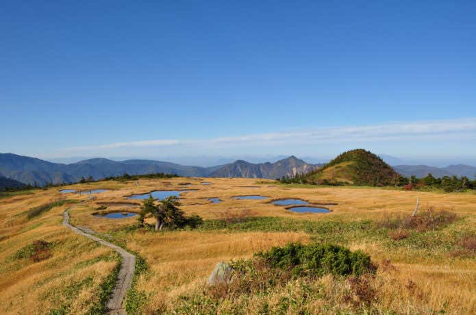 苗場山頂上