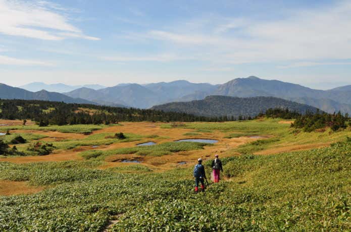 苗場山の山頂周辺を歩く登山者