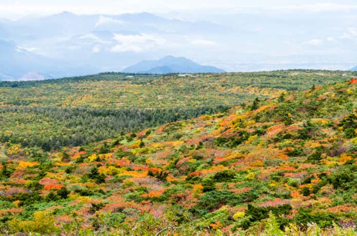 刈田岳の山肌の紅葉