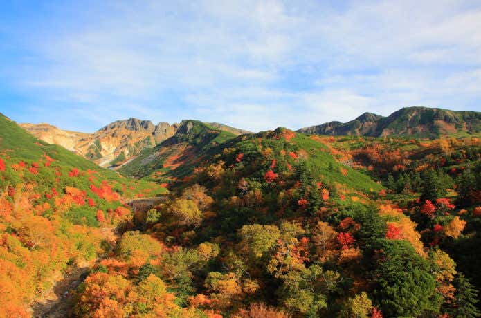 十勝岳の紅葉