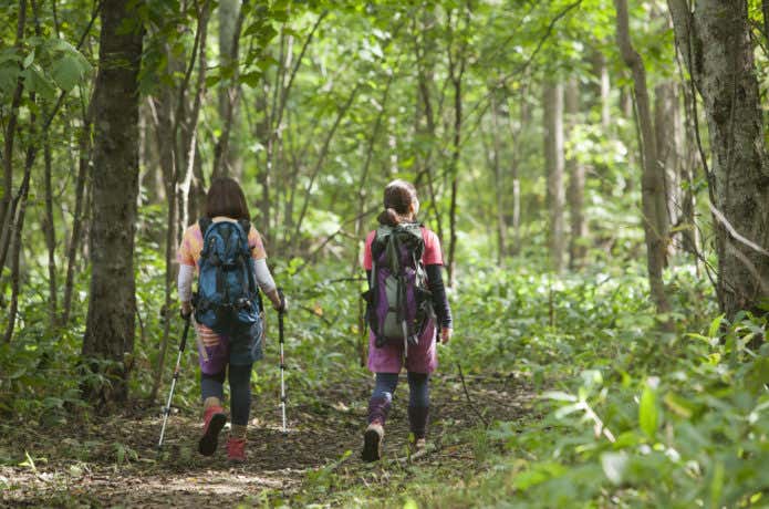 山友と登山している女性