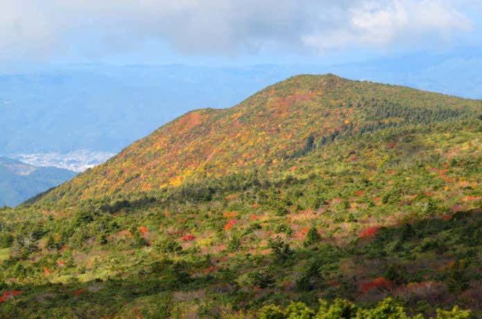 刈田リフト 紅葉