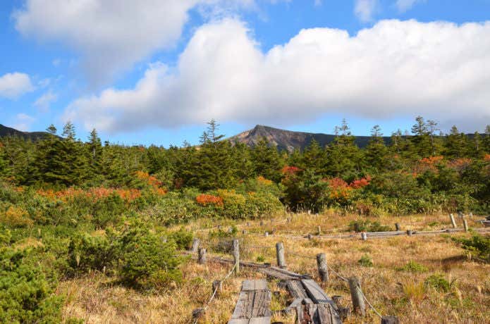 いろは沼の紅葉