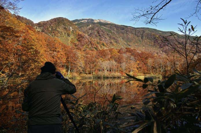 鳥海山　紅葉　見学