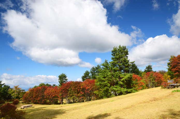 蔵王坊平高原 紅葉