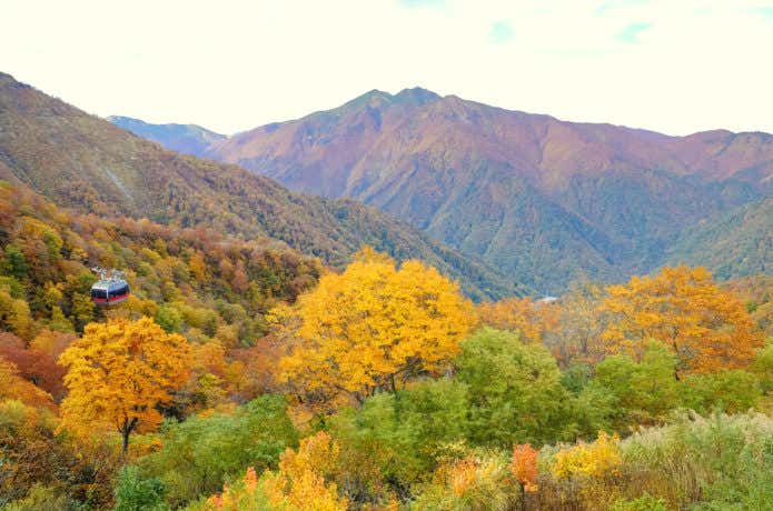 朝日連山を眺める