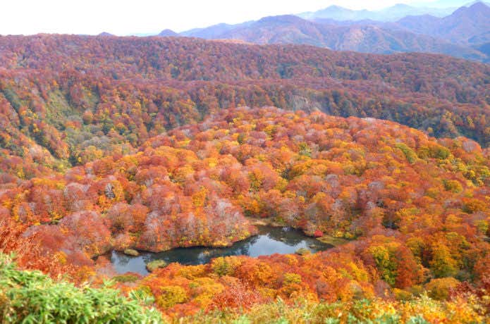 鶴間池