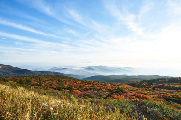 蔵王遠景の紅葉