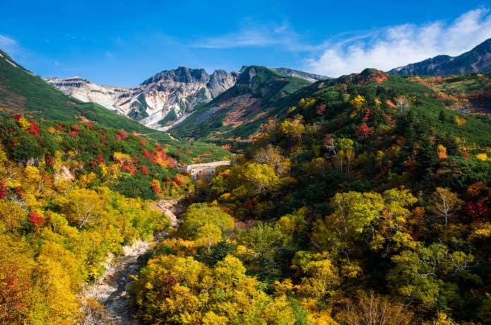 十勝温泉郷の紅葉