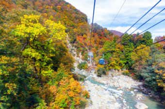 苗場山のドラゴンドラ