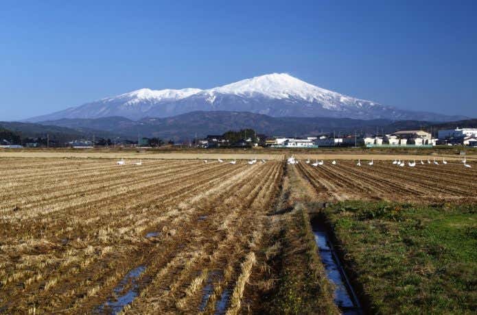 鳥海山遠景