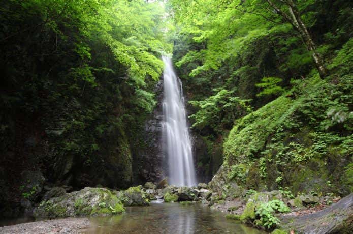 川苔山登山で見られる百尋の滝