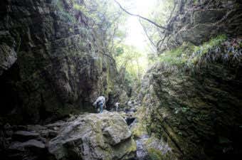 棒ノ折山　登山道