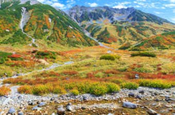 立山の紅葉