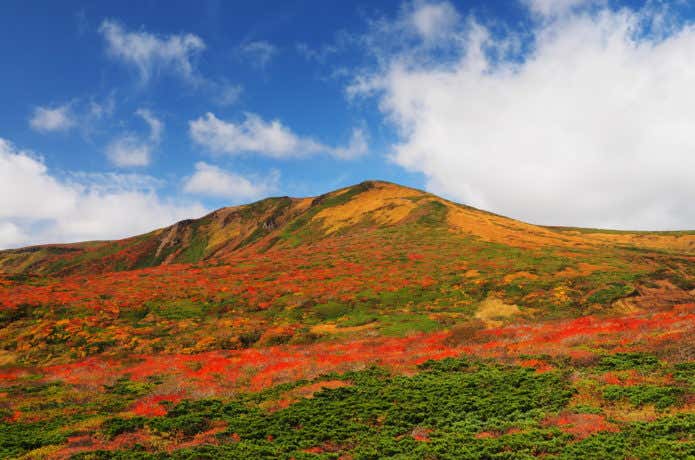 栗駒山