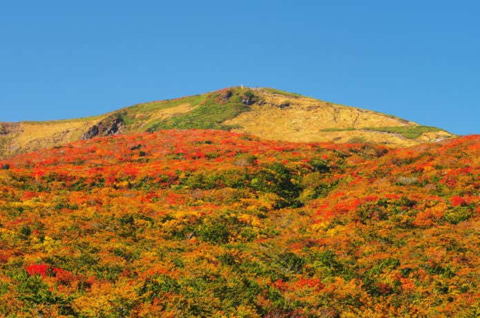 秋の栗駒山