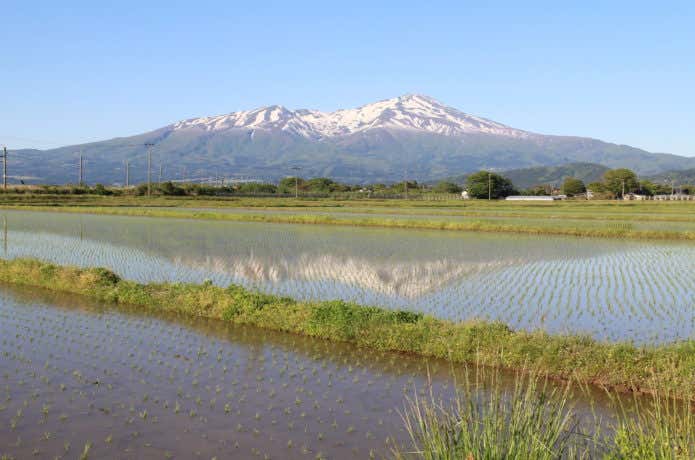 鳥海山と田んぼ