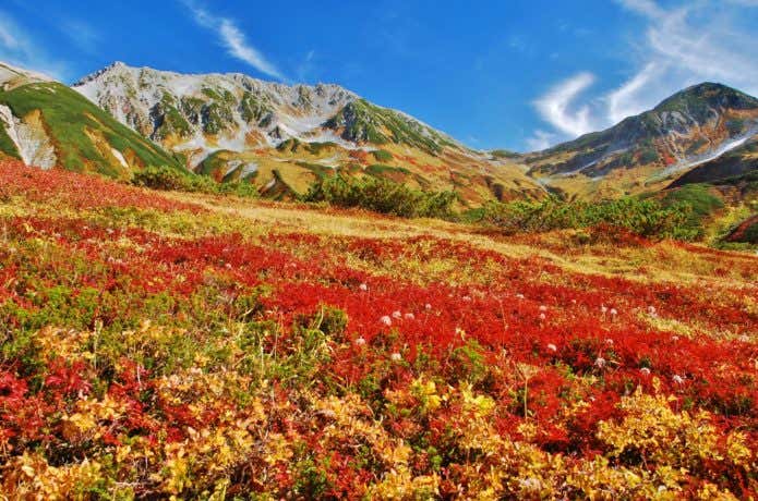立山の秋
