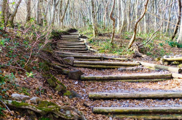 大山（だいせん）｜中国地方最高峰を登山＆アクティビティで遊び