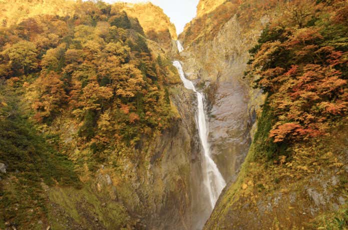 眩い紅葉盛りの称名滝