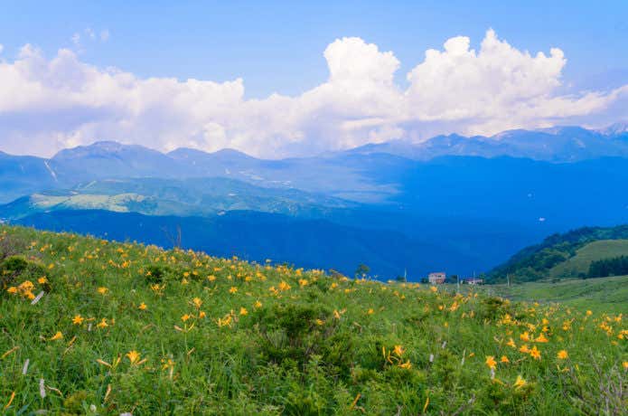 霧ヶ峰