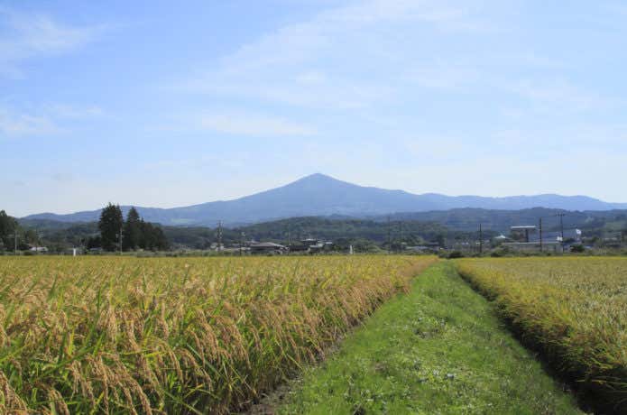 姫神山と田園