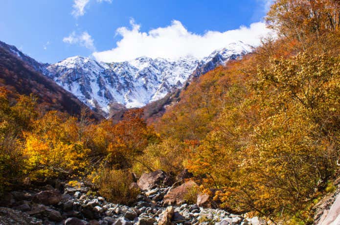 マチガ沢付近の紅葉と雪