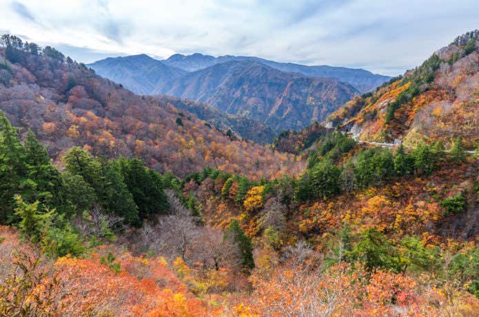 ホワイトロードから見る紅葉