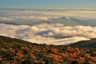 蔵王の紅葉と雲海
