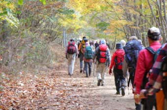 登山ツアーに参加して登山に行く人々