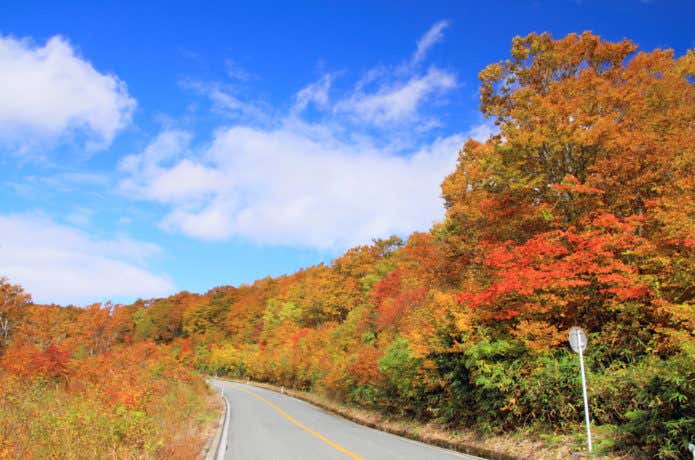 秋の蔵王エコーライン