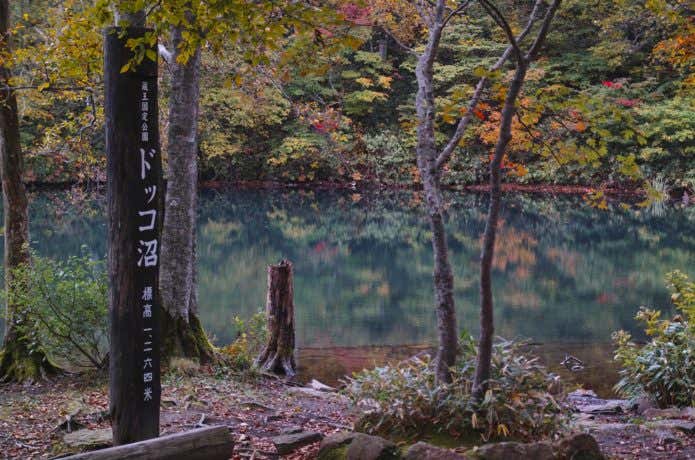 ドッコ沼の紅葉